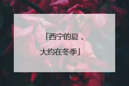 西宁的夏，大约在冬季